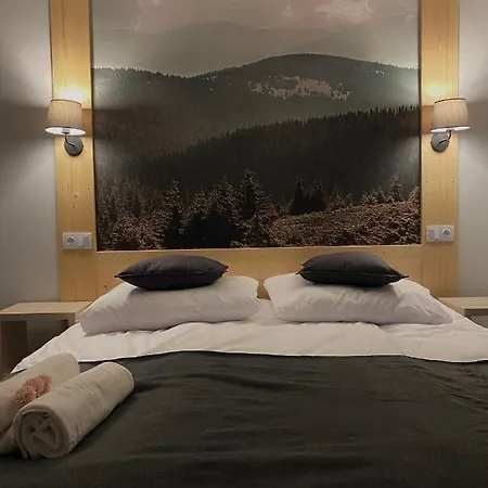 Гостевой дом Karolowy Pokoje&apartamenty Устронь