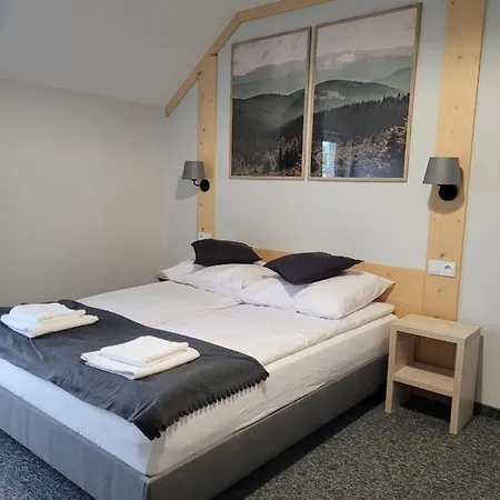 Karolowy Pokoje&apartamenty 3* 우스트론