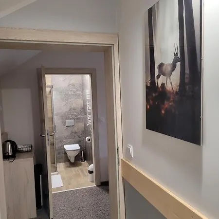 Gasthof Karolowy Pokoje&apartamenty Ustron
