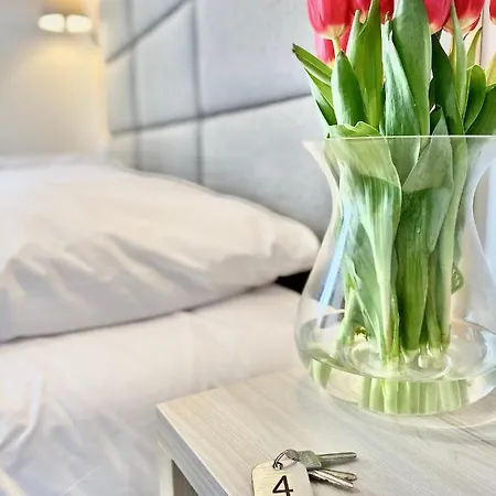 Karolowy Pokoje&apartamenty 3* 우스트론