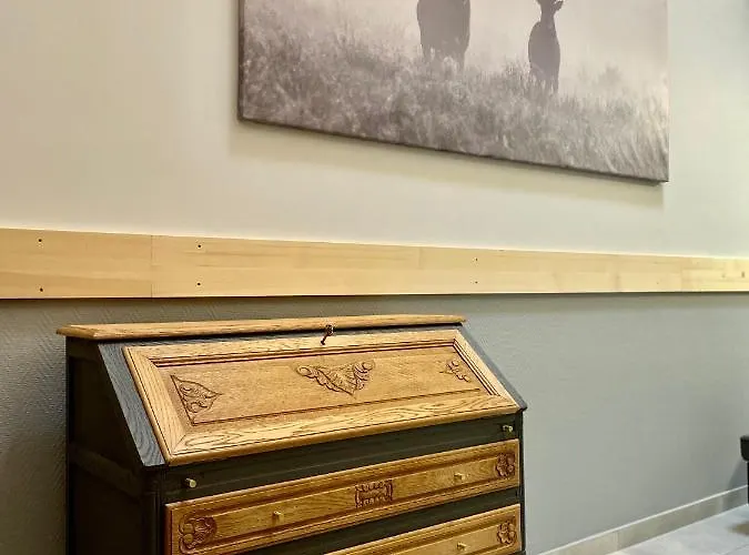 Karolowy Pokoje&apartamenty בית הארחה 3*