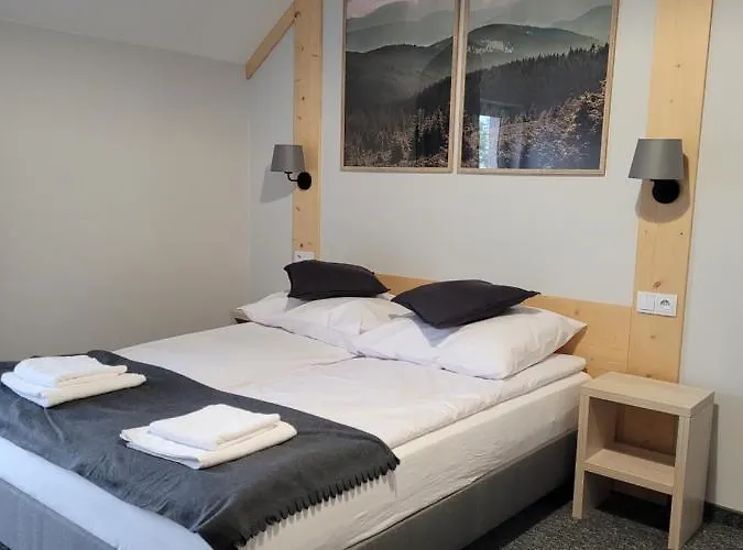 Karolowy Pokoje&apartamenty 3* Ustron