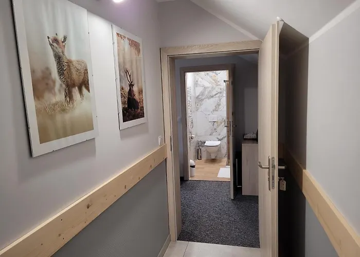 Karolowy Pokoje&apartamenty בית הארחה אוסטראון