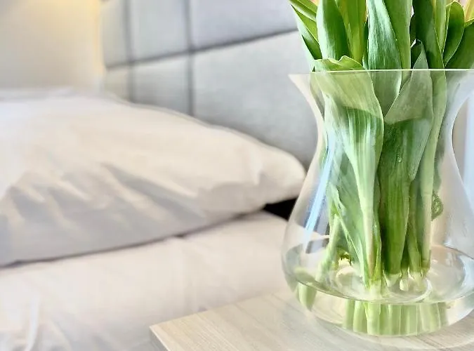 Karolowy Pokoje&apartamenty 3* אוסטראון